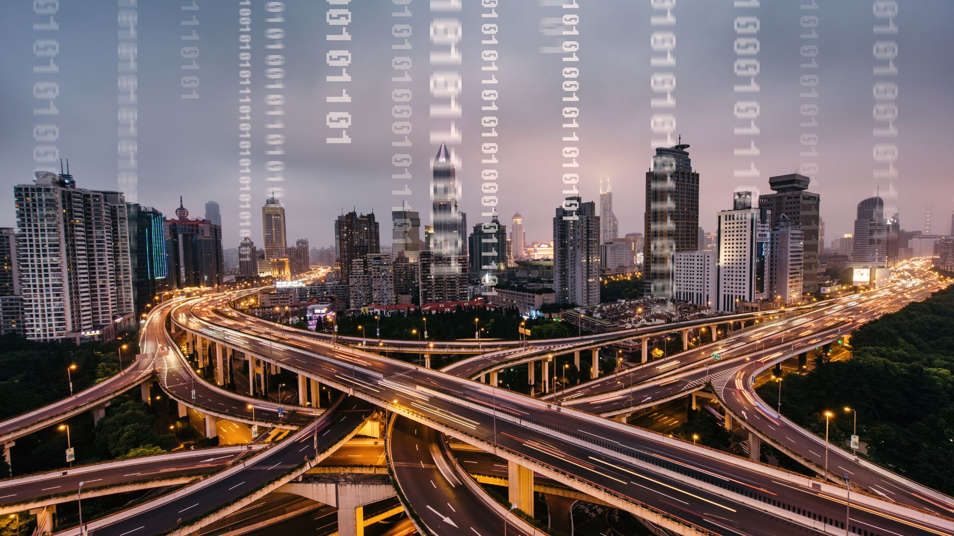 Création site internet Martinique 2026 - Agence web DBNG